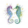 Seahorse?Face to Face-Full Round Diamond Painting