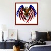 Eagle - Partial Round Diamond Painting(30*30cm)