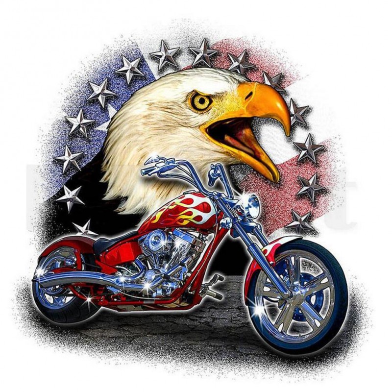 Motorcycle Eagle - F...