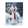 Santa Claus - Partial Round Diamond Painting