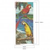 Parrot - Full Round Diamond Painting