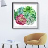 Succulent Plants - Full Round Diamond Painting