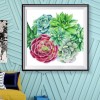 Succulent Plants - Full Round Diamond Painting