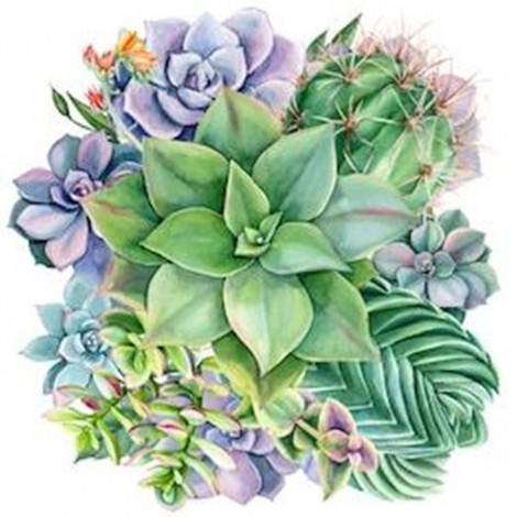 Succulent - Full Round Diamond Painting