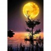 Moon Scenery - Full Round Diamond Painting