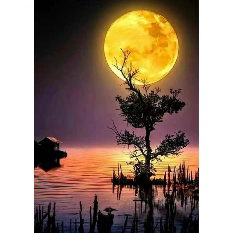 Moon Scenery - Full ...