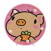 DIY Diamond Painting Light Cartoon Pig Full Drill Cross Stitch Embroidery Decor