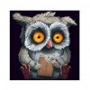 Cute Owl - Partial Round Diamond Painting(30*30cm)