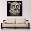 Cute Owl - Partial Round Diamond Painting(30*30cm)