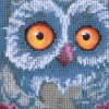 Cute Owl - Partial Round Diamond Painting(30*30cm)