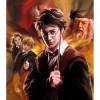 Harry Potter - Full Round Diamond Painting