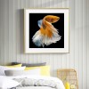 Golden Fish - Full Round Diamond Painting