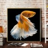 Golden Fish - Full Round Diamond Painting