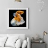 Golden Fish - Full Round Diamond Painting