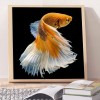 Golden Fish - Full Round Diamond Painting