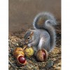 Squirrel - Full Round Diamond Painting