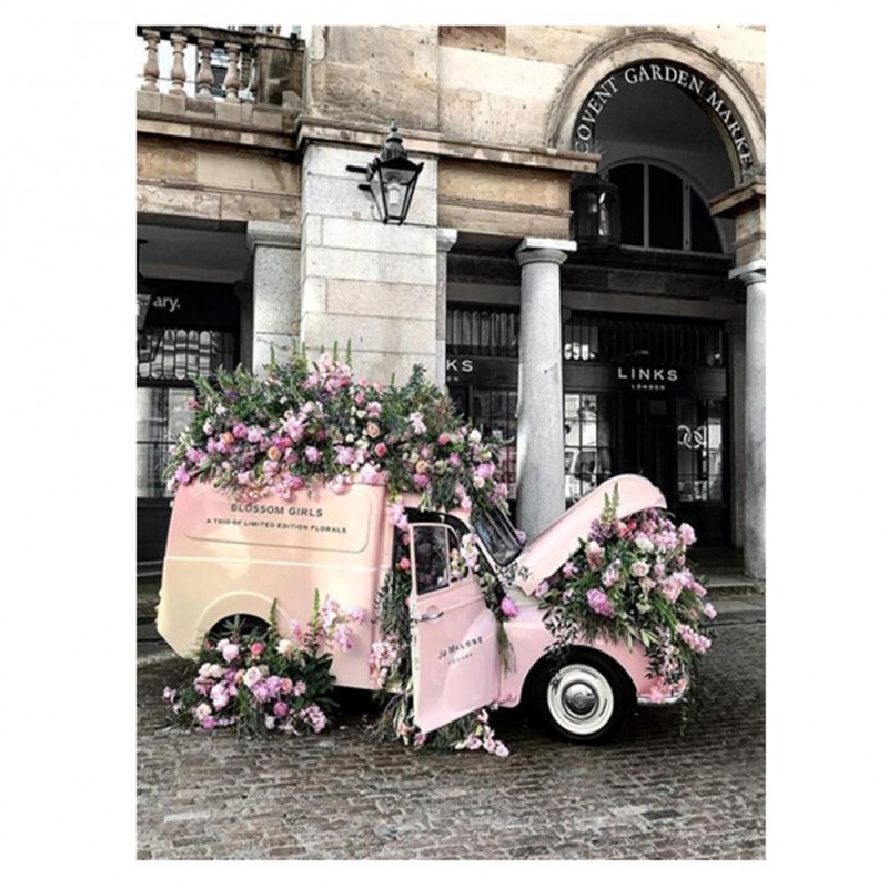 Pink Flowers Car - F...