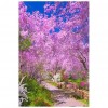 Pink Flowers Tree Path - Full Round Diamond Painting