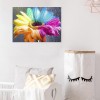 Colorful Flower - Full Round Diamond Painting