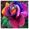 Colorful Rose - Partial Round Diamond Painting