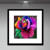 Colorful Rose - Partial Round Diamond Painting