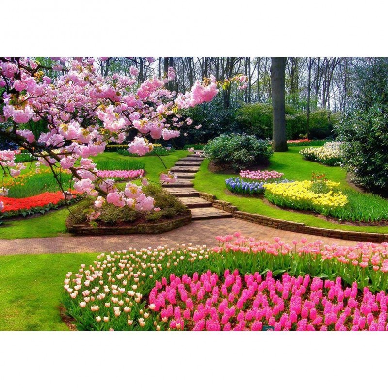 Flower Scenery - Ful...