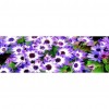 Flower - Full Round Diamond Painting(80*30cm)