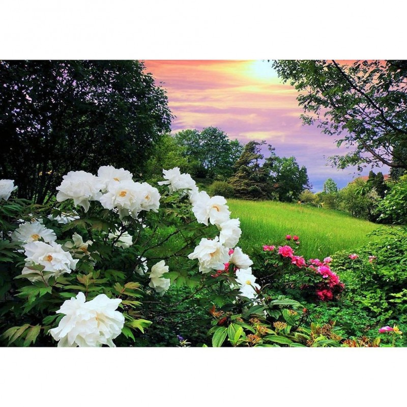 Flower Scenery - Ful...