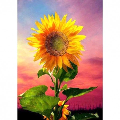 Sunflower - Full Round Diamond Painting