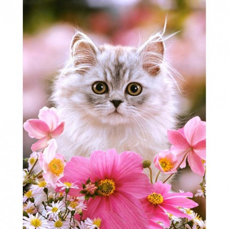 Flower Kitten - Full Round Diamond Painting