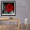 Rose - Partial Round Diamond Painting(30*30cm)