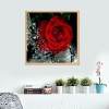 Rose - Partial Round Diamond Painting(30*30cm)