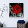 Rose - Partial Round Diamond Painting(30*30cm)