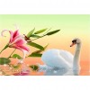 Flower Swan Lake - Full Round Diamond Painting