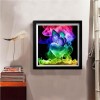 Colorful Butterfly - Partial Round Diamond Painting(30*30cm)