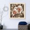 Rose - Partial Round Diamond Painting(25*25cm)