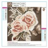 Rose - Partial Round Diamond Painting(25*25cm)