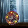 DIY Full Drill Diamond Painting Lamp Butterfly Animal LED Light Home Decor