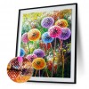 Dandelion - Full Square Diamond Painting(40*50cm)