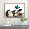 Cat Butterfly  - Full Round Diamond Painting