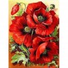 Poppy flowers- Full Square Diamond Painting