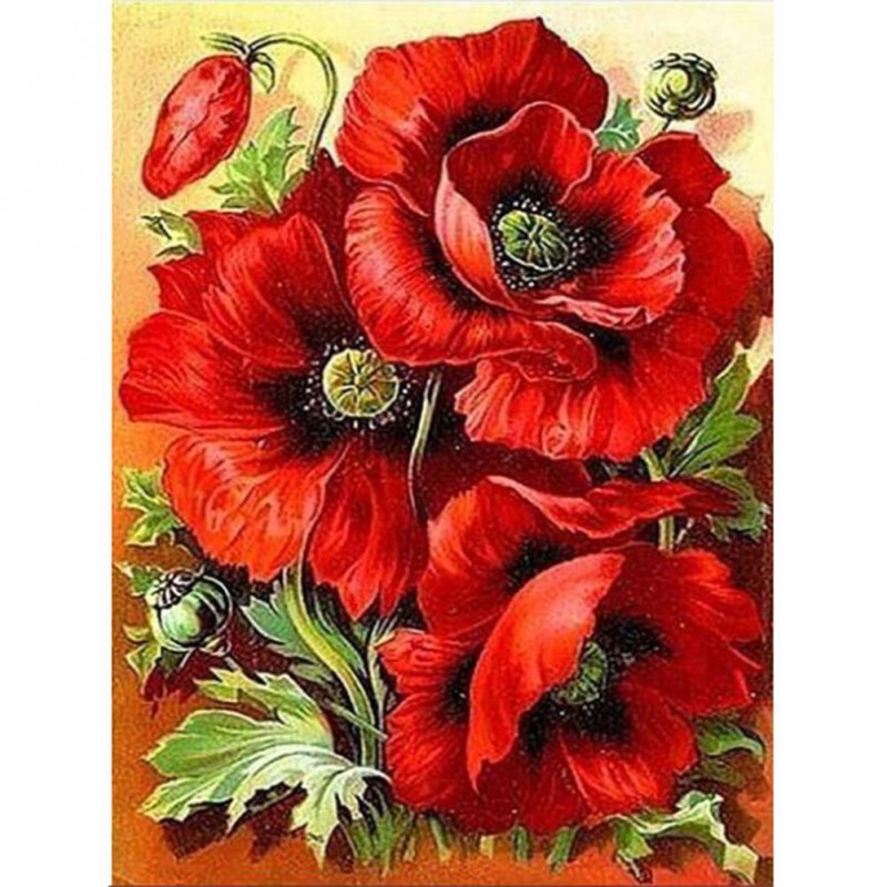 Poppy flowers- Full ...