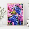 Parrots Flowers - Partial Round Diamond Painting