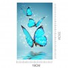 Blue Butterfly - Partial Round Diamond Painting(25*40CM)