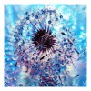 Dandelion - Full Round Diamond Painting(30*30cm)