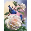 Flower and Bird - Full Square Diamond Painting